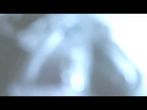 Professional Light Leaks