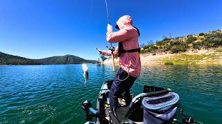 Fishing Lake Oroville with the MOST sought after Bait on the Market... (2026)