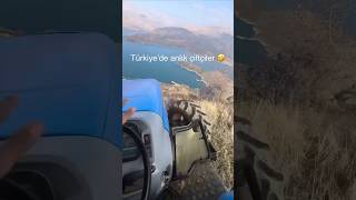 Şeytana Oyma Ahmedim