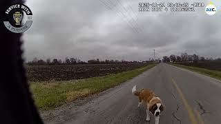 State patrol rescues runaway dog with help of treats