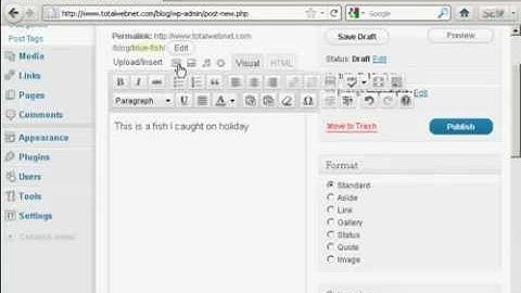 Watch Wordpress Tutorial - How To Add Images To Your Posts And Pages - Add Images Wordpress