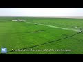 Circular green fields emerge on desert edge in NW China's Xinjiang
