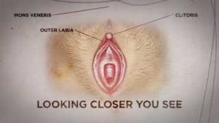 Can you see if a woman is a virgin? Here's the truth - Nyheterna (TV4)