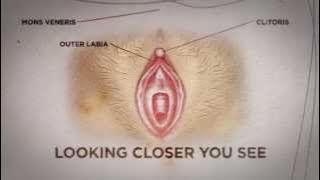 Can you see if a woman is a virgin? Here's the truth - Nyheterna (TV4)