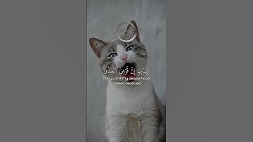 اكتب شي تؤجر عليه ❤️ #تلاوة_خاشعة #اكسبلور #المصحف #قران_كريم #راحة_نفسية