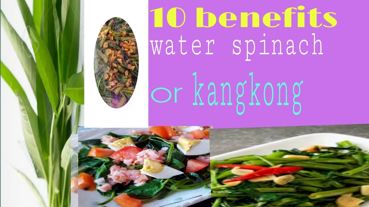 ANO ANG MGA BENEFITS NANG WATER SPINACH Minju lee YouTube