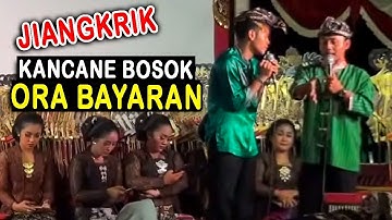 Percil Cs emosi Dalange ora tanggung jawab..!!