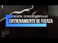 ENTRENMIENTO DE FUERZA.REGIÓN DORSO-ESCAPULAR.VOL 2