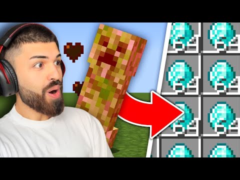 Minecraft მაგრამ მობები გიორმაგებენ ნივთებს! Minecraft, But Mobs Multiply Your Inventory..