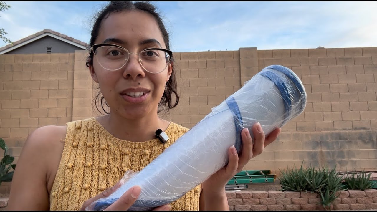 Honest Review of Clear Dog Cone