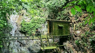 Set up a bamboo tent by the stream, it's raining / cooking-Tropical Forest #5