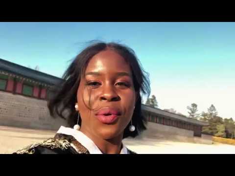 Places to visit in Seoul! Gyeongbukgung Palace -Hanboks | Braai Republic Itaewon - Seoul Vlog