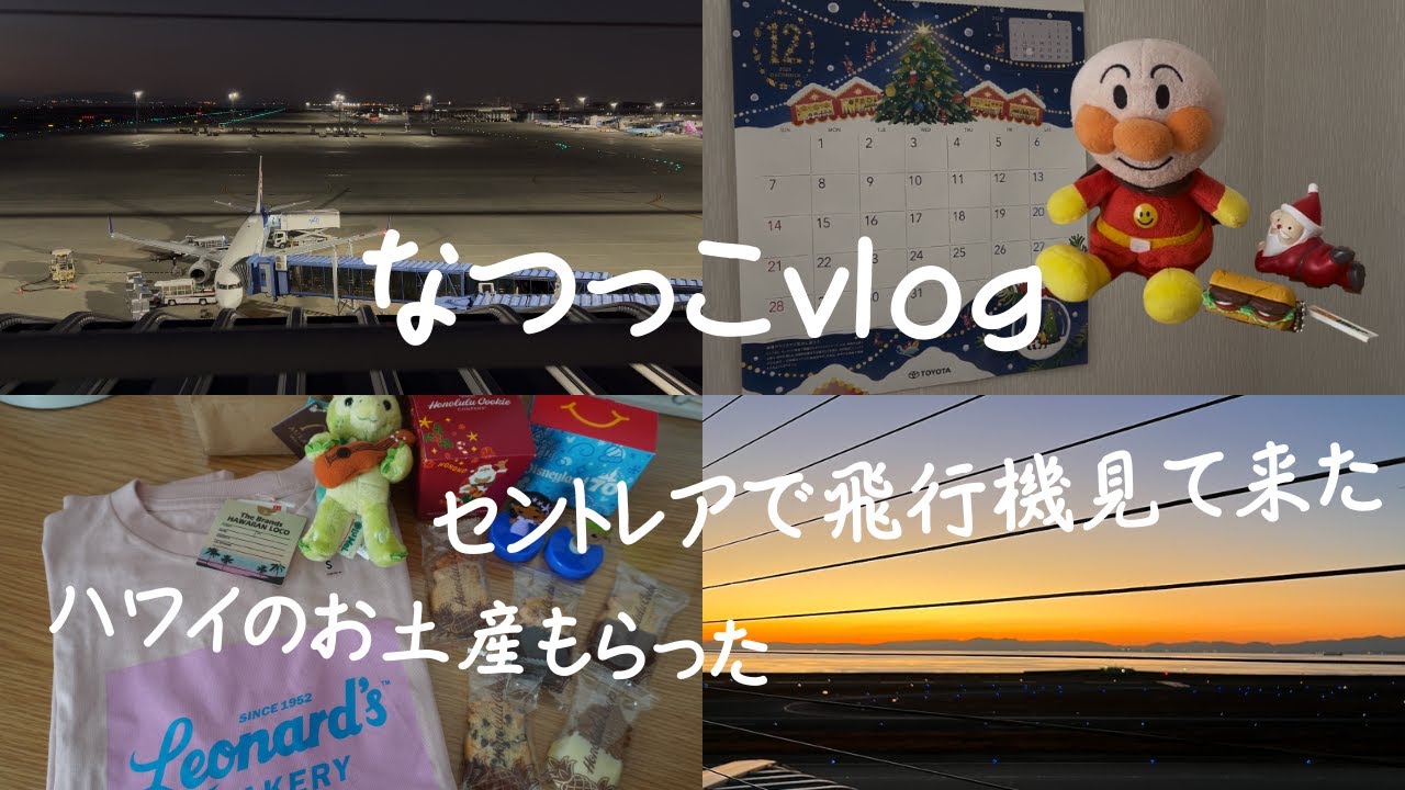 [vlog]セントレアに行って飛行機みてきた✈️/ハワイのお土産もらったから紹介🌺