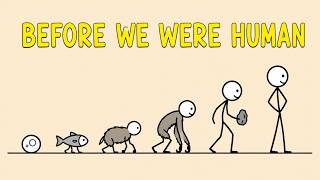 Human Evolution Explained in 3 Minutes