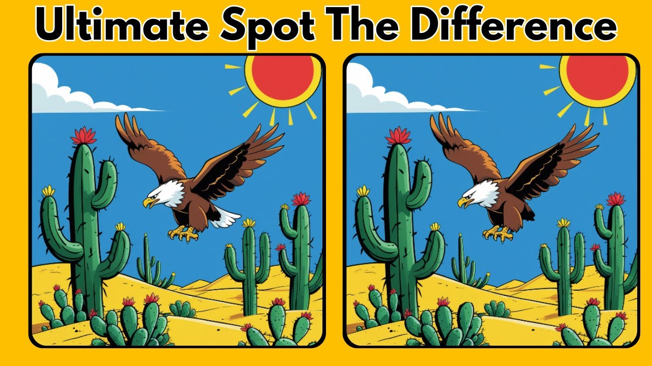 Can You Spot All The Differences Before Time Runs Out - YouTube