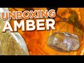 Amber: Unboxing 10,000,000 Years! | Insect-Infused + Copal