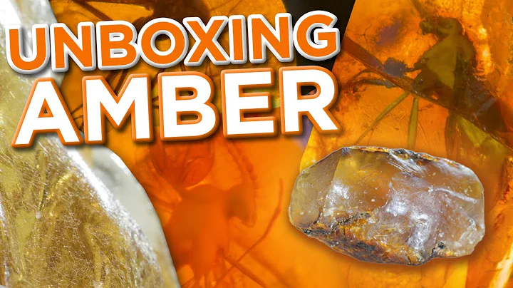 Amber: Unboxing 10,000,000 Years! | Insect-Infused + Copal - DayDayNews