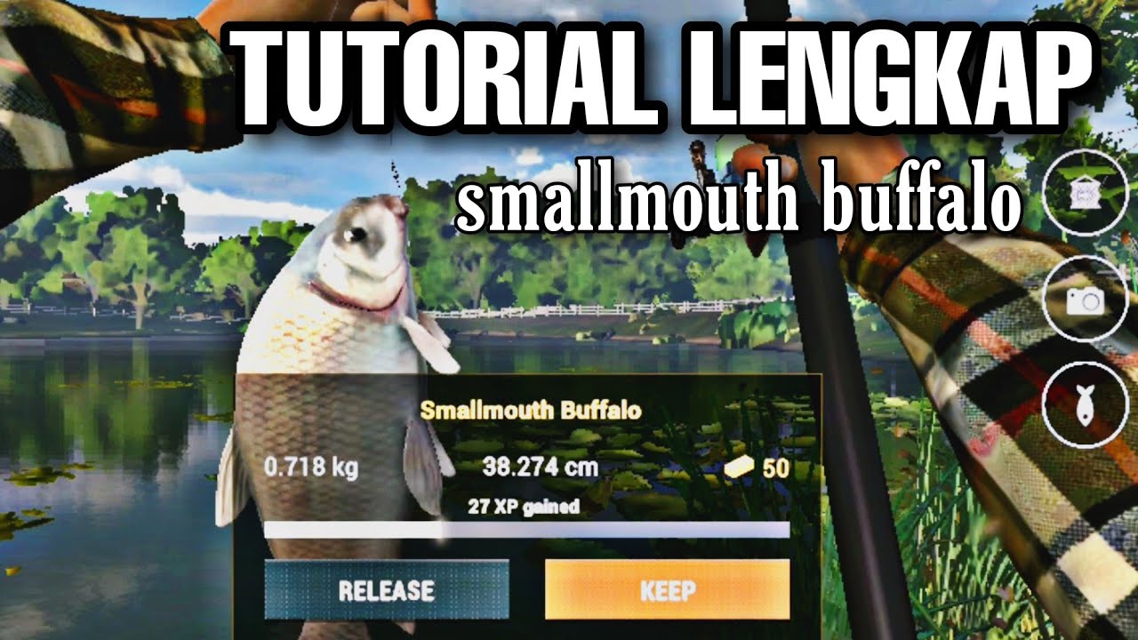 Tutorial Fishing smallmouth buffalo mancing 