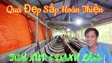 TUM NÚP 1 Được 90% Công Đùi Chuẩn Bị Thay Con Lươn Tiếp