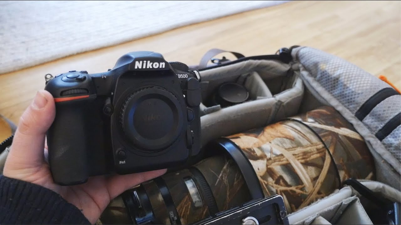 My CAMERA EQUIPMENT for wildlife photography in Dovrefjell YouTube