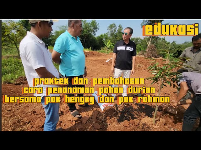 CARA PENANAMAN POHON DURIAN BERSAMA PAK HENGKY DAN PAK ROHMAN DI KEBUN RB class=