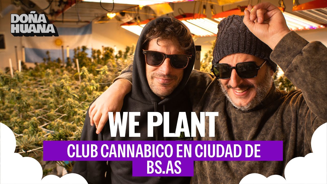 WEPLANT - CLUB DE CANNABIS EN BUENOS AIRES