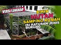 MEMBANGUN HUTAN BELANTARA KECIL DISAMPING RUMAH UNTUK KARANTINA BURUNG LIAR  #versi_lengkap