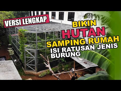 Video: Menanam Tanaman di Tempat Mandi Burung: Menggunakan Tempat Mandi Burung Sebagai Penanam