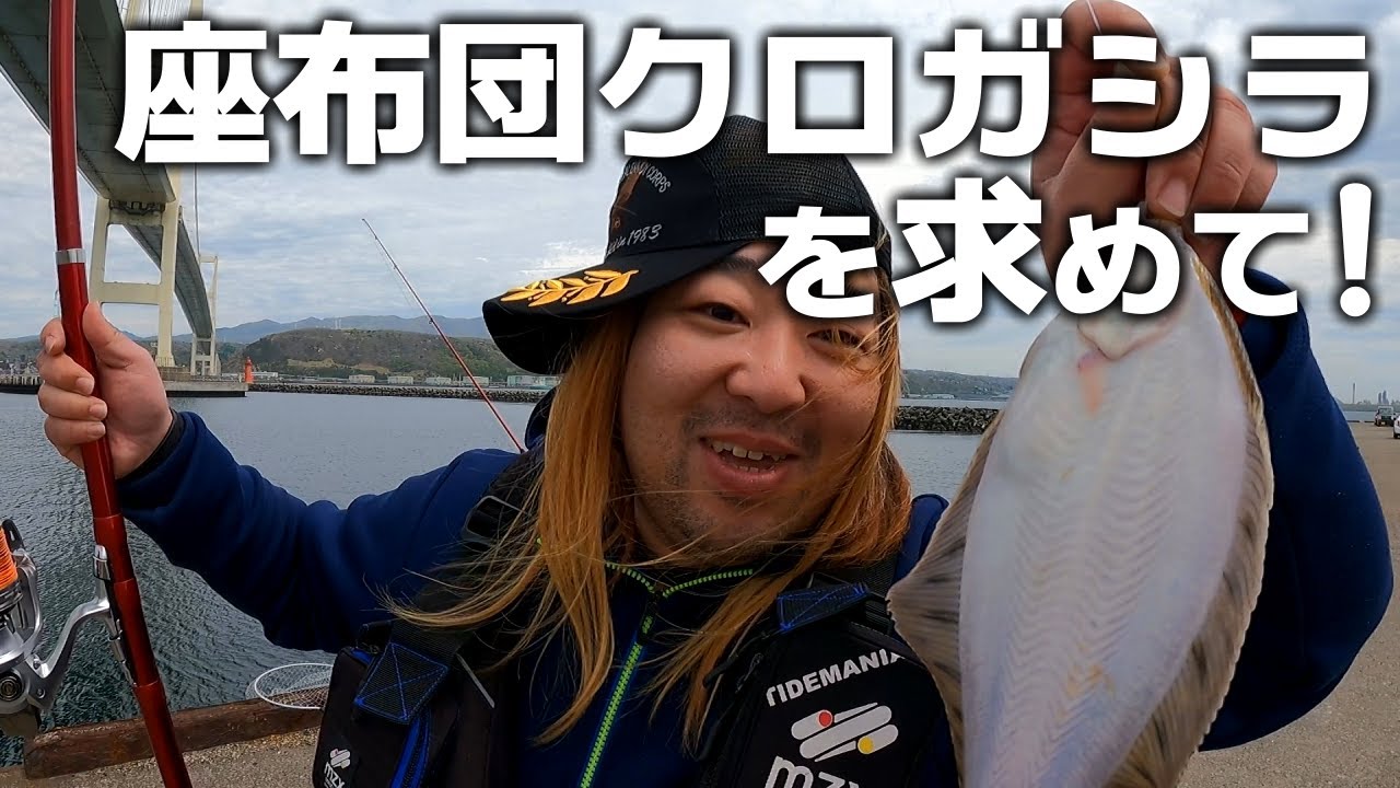 室蘭港白鳥大橋下で座布団クロガシラを狙うが…。