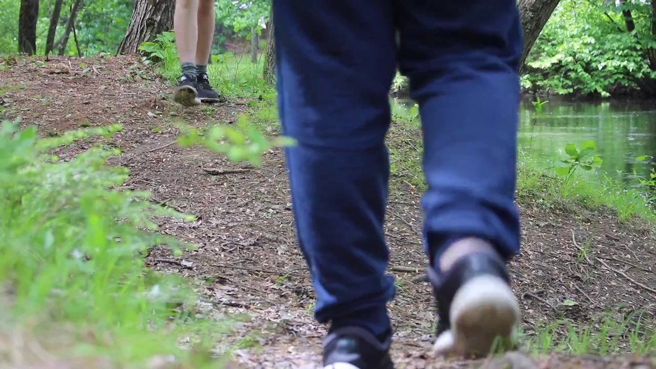 Stranger In The Woods Short Film YouTube