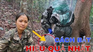 XÔNG KHÓI VÀO HANG - CÁCH BẮT ĐẶC SẢN TRONG HỖNG CÂY HIỆU QUẢ NHẤT