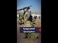 شاهد تحطم مروحية عسكرية أردنية وإصابة طيارين على متنها