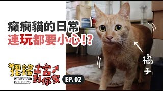 【癲癇貓的日常連玩都要小心】狸銘出宮到你家EP.2 志銘與狸貓