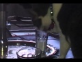 Cat eating milk