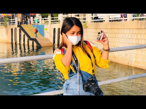 Experience The Amazing Pedal Boating in Tai Mei Tuk, Tai Po Hong Kong | Miss Les Lhie