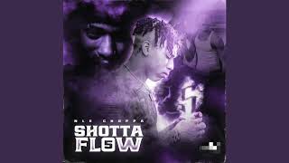 Famous Shotta Flow 5 - NLE Choppa - 1hour clean Wealth