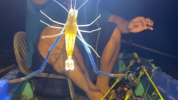 Tập 140: câu tôm sông đầu mùa, trúng ngay ổ kéo liên tục mấy con càng lửa