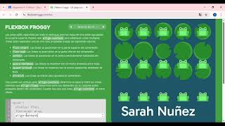 FLEXBOX FROGGY 1er tarea llparcial