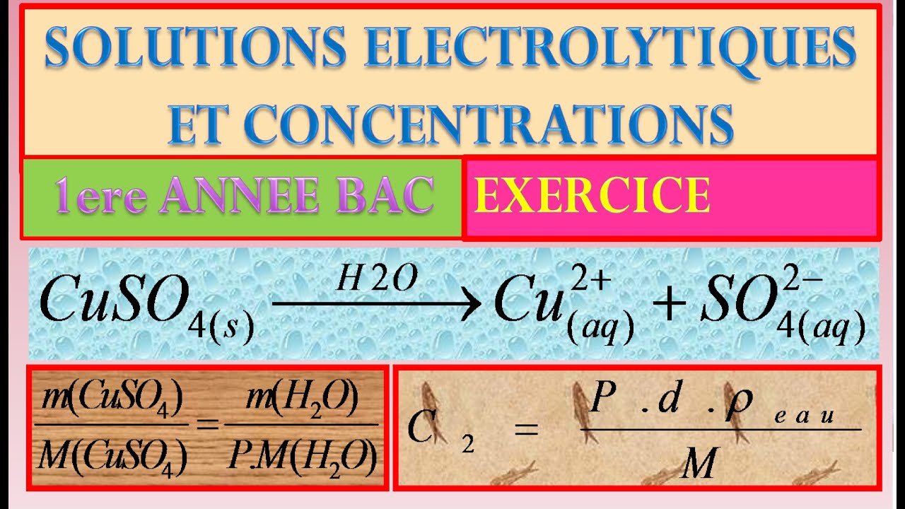 EXERCICE SUR LA CONCENTRATION EFFECTIVE 1 BACBIOF