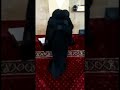 لحظة ختم القرآن الكريم لاحدى طالبات جامع الرحمة في منبج