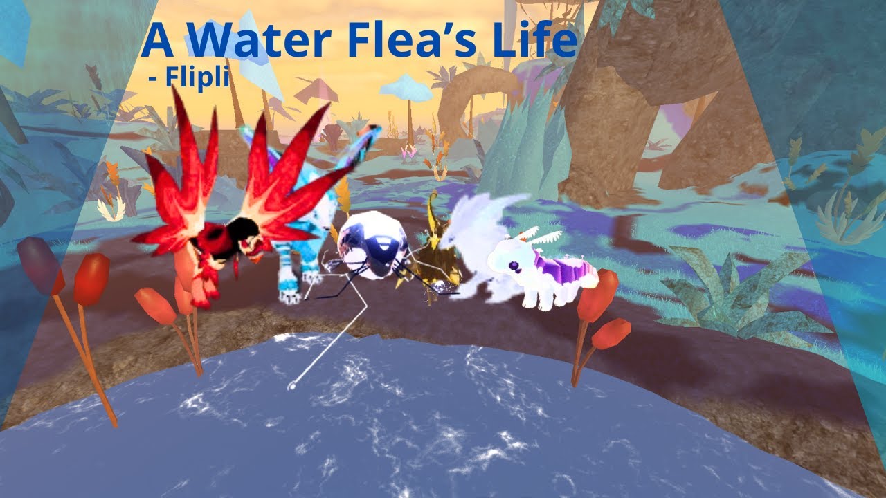 A Water Flea's Life (Flipli), a short film - thesnowwolf04