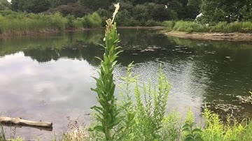 جزء عم | سورة الزلزلة | سعيد الخطيب