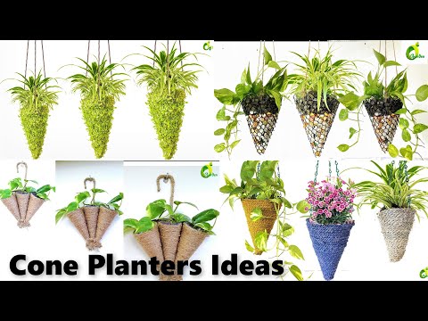 Best Planter Using Coconut Shell/Coconut Shell Planter Idea/Coconut Shell  Pot Making/ORGANIC GARDEN 