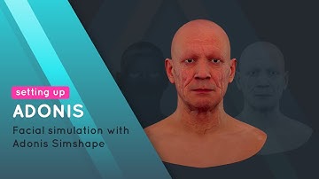 Facial Simulation fast and easy with Adonis SimShape