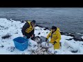 Рыбалка на сига по Канадски. 2017.Whitefish fishing.