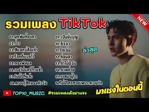 รวมเพลงฮิตในติ๊กต๊อก รวมเพลงในTikTokล่าสุด เพราะๆ เพลงดัง