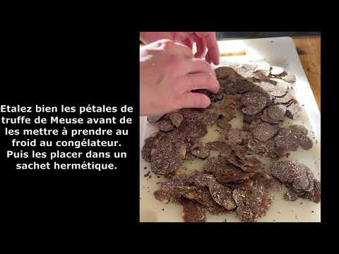 Comment bien congeler la Truffe de Meuse