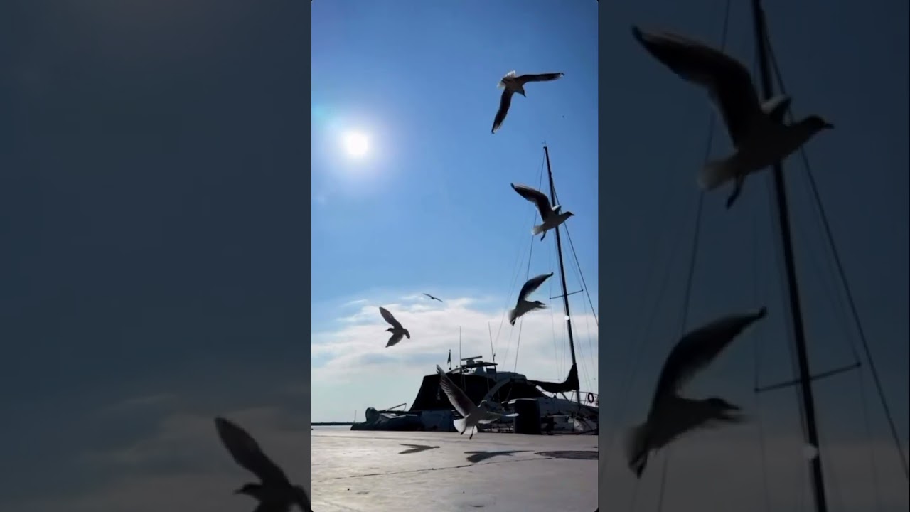 СКОЛЬКО ОСТРОВОВ В ГРЕЦИИ?