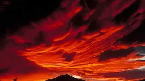 تلاوة خاشعة إدريس أبكر{ وقال الذين لا يرجون لقائنا }