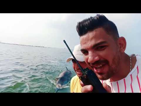 رامي صلد إنقاذ دولفين ميت من وسط البحر